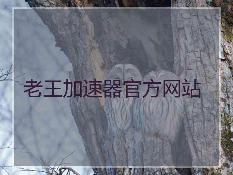 老王加速器官方网站