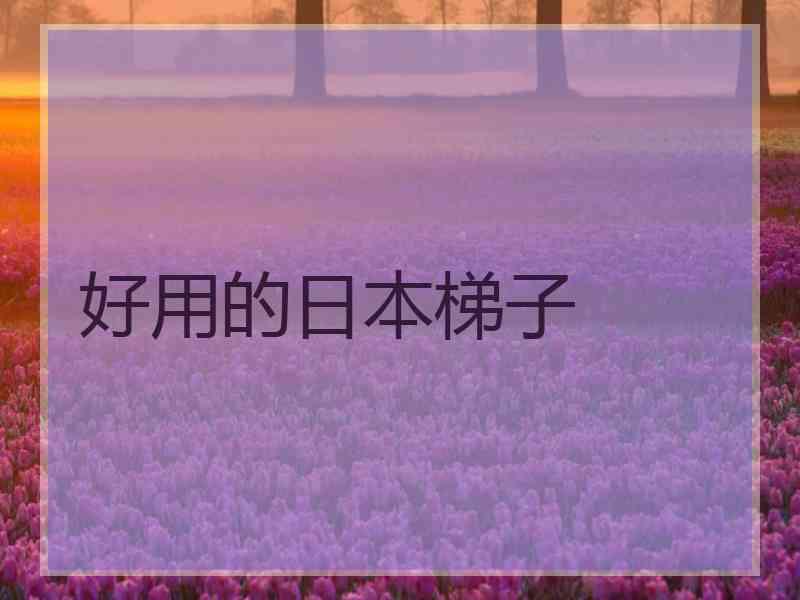 好用的日本梯子