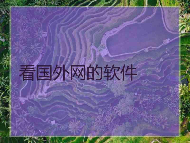 看国外网的软件