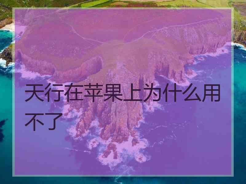 天行在苹果上为什么用不了