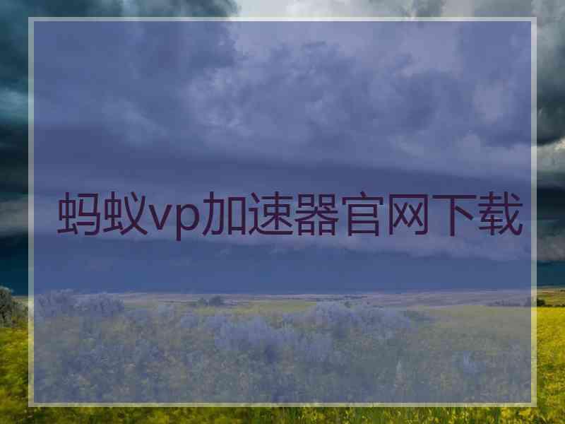 蚂蚁vp加速器官网下载