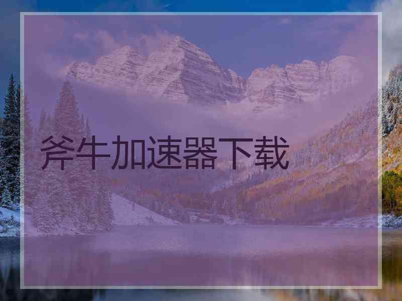 斧牛加速器下载