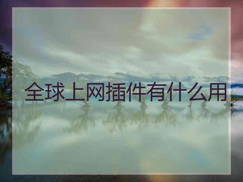 全球上网插件有什么用