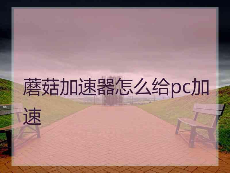 蘑菇加速器怎么给pc加速