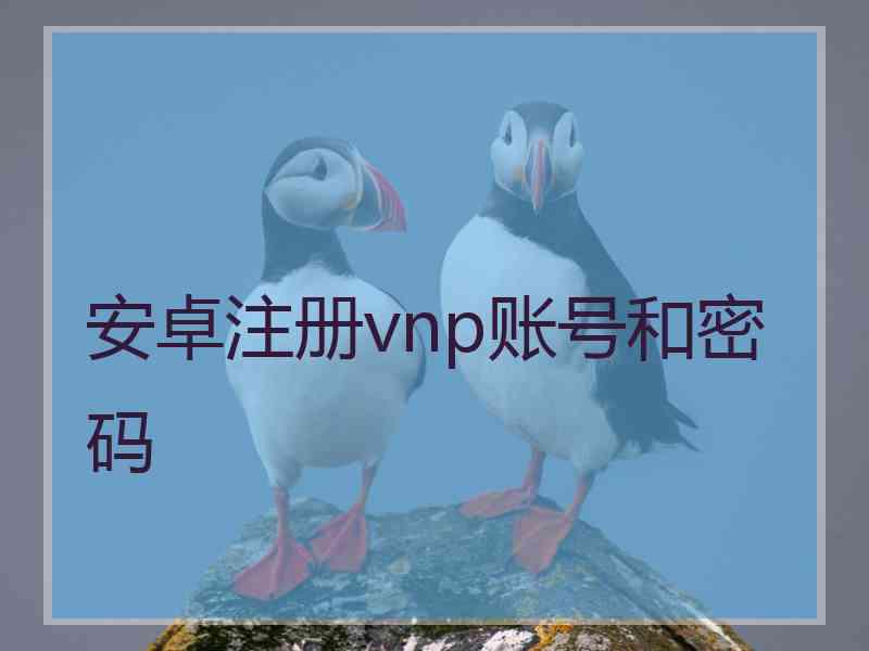 安卓注册vnp账号和密码