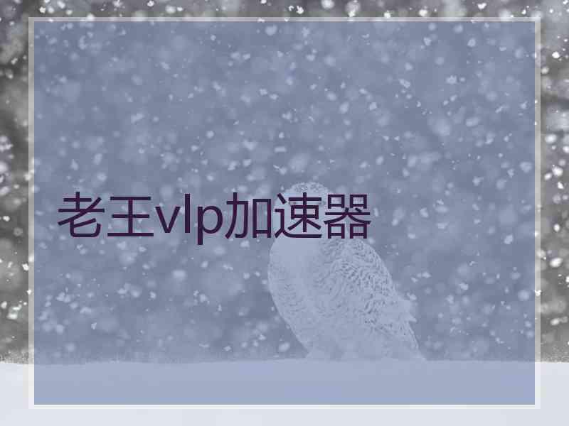 老王vlp加速器