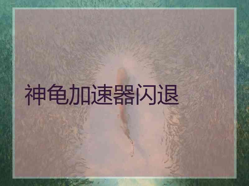 神龟加速器闪退