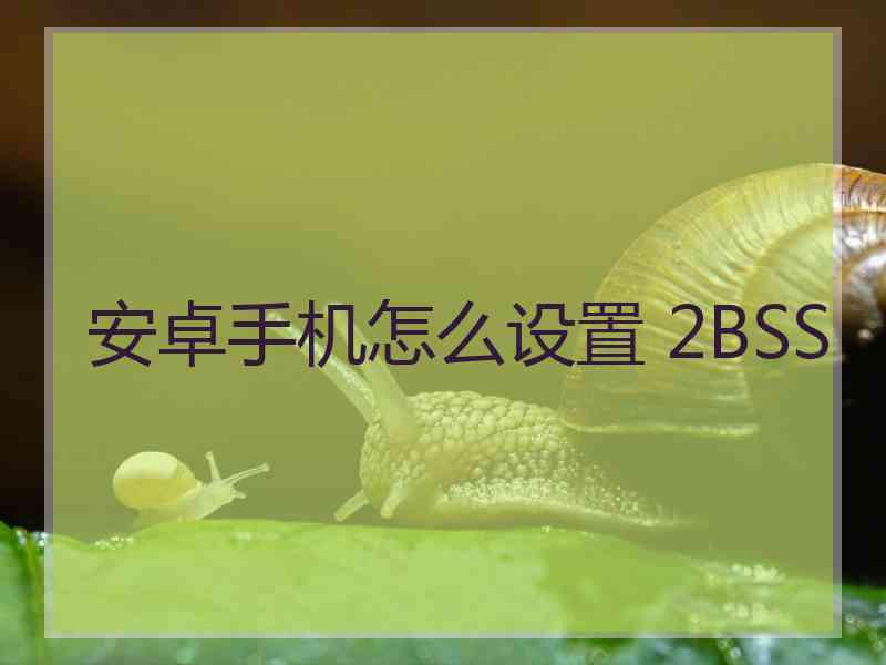 安卓手机怎么设置 2BSS