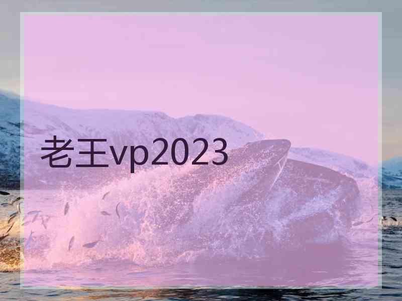 老王vp2023