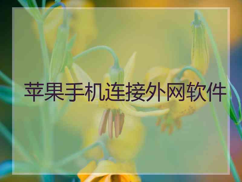 苹果手机连接外网软件