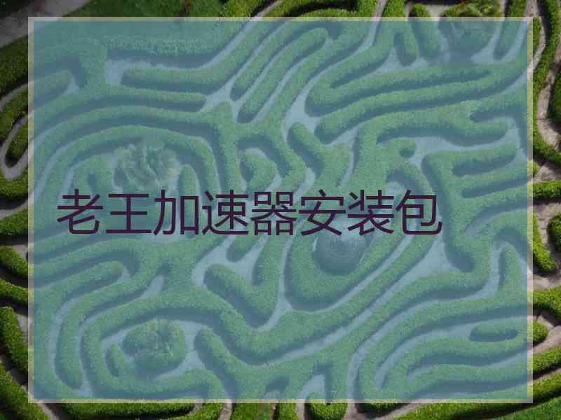老王加速器安装包