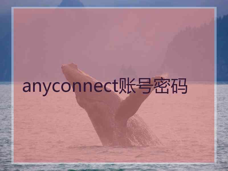 anyconnect账号密码