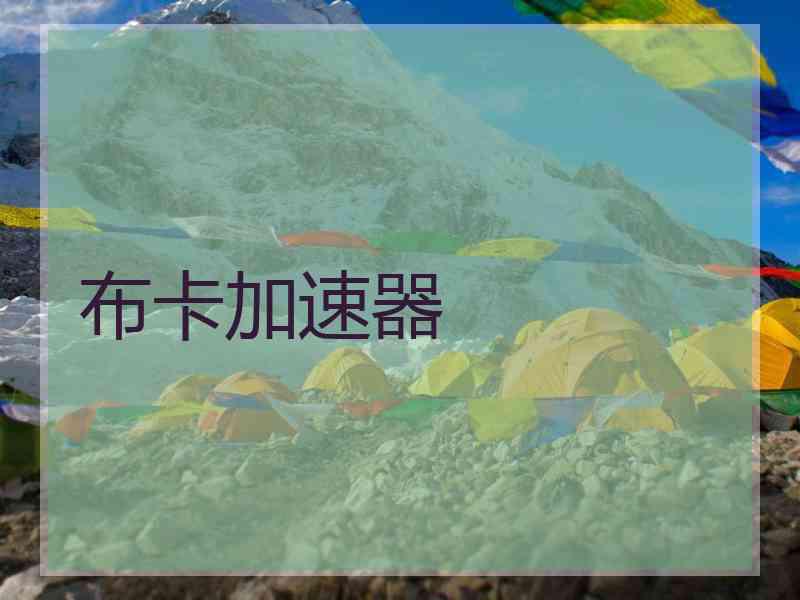布卡加速器