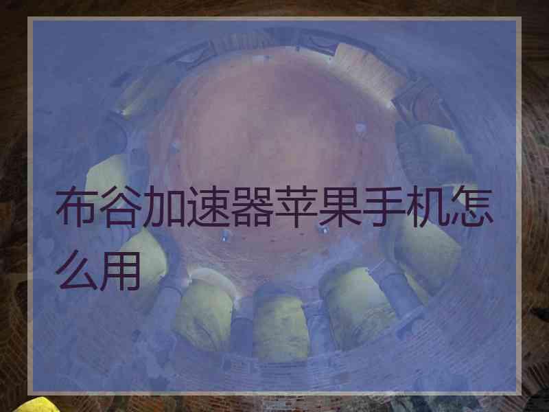 布谷加速器苹果手机怎么用