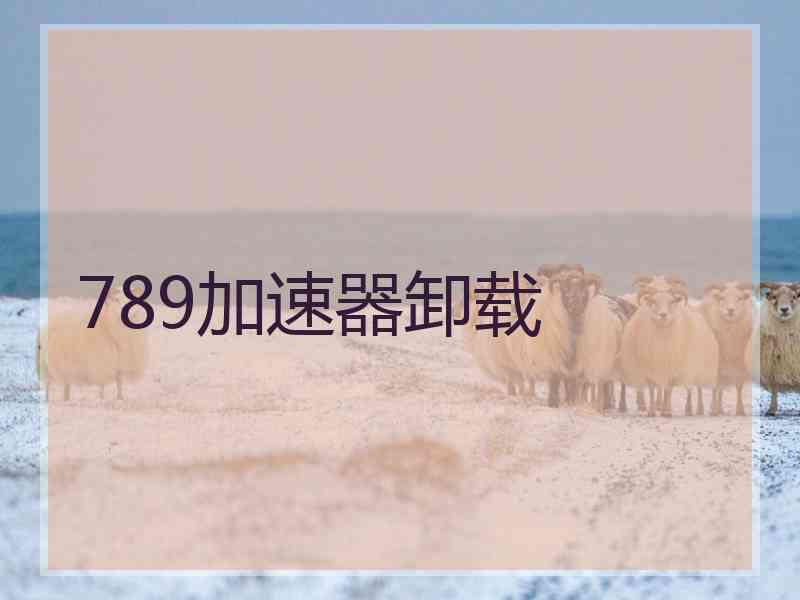 789加速器卸载