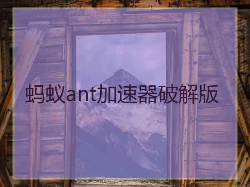 蚂蚁ant加速器破解版