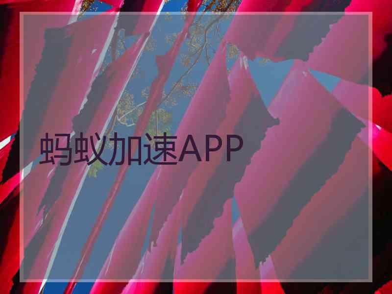 蚂蚁加速APP