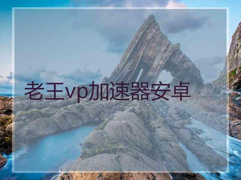 老王vp加速器安卓