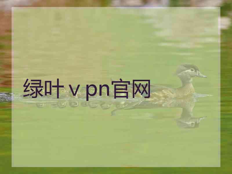 绿叶ⅴpn官网
