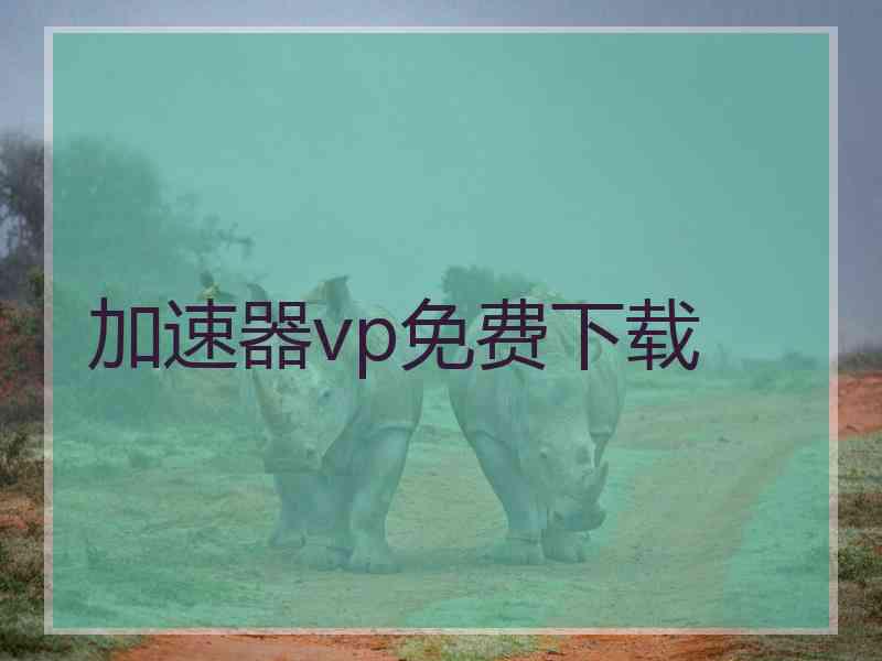 加速器vp免费下载