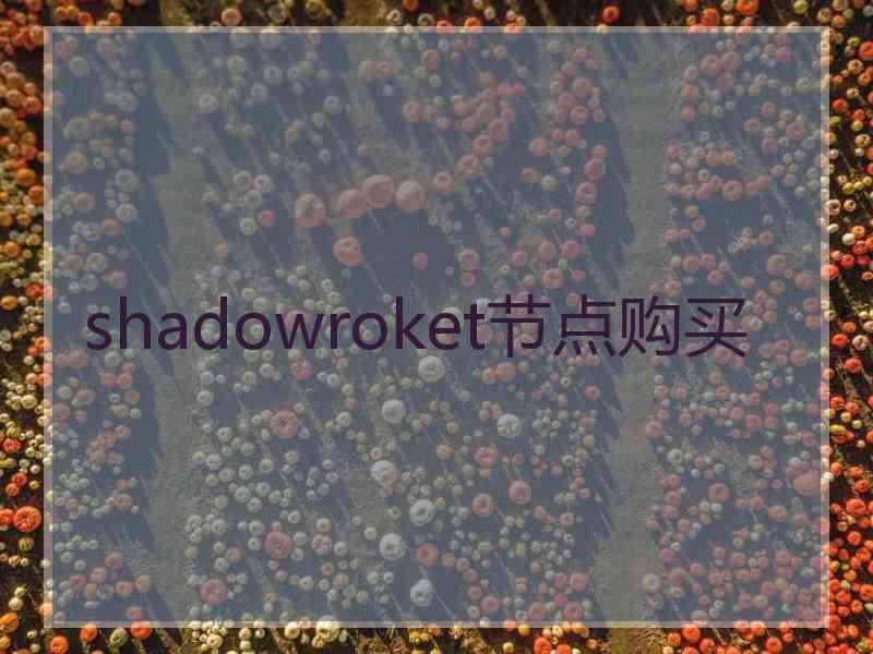 shadowroket节点购买