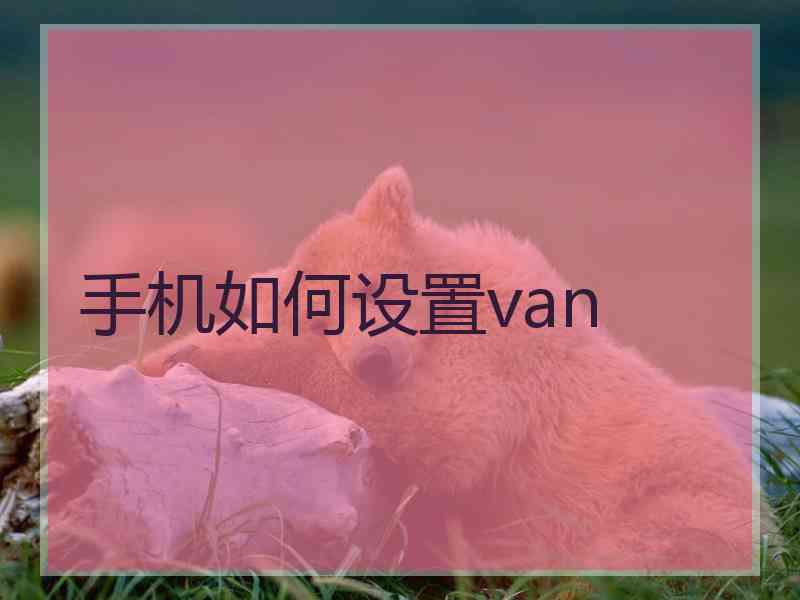 手机如何设置van