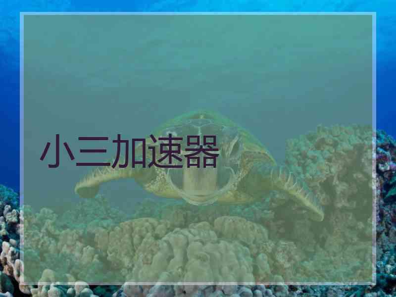 小三加速器