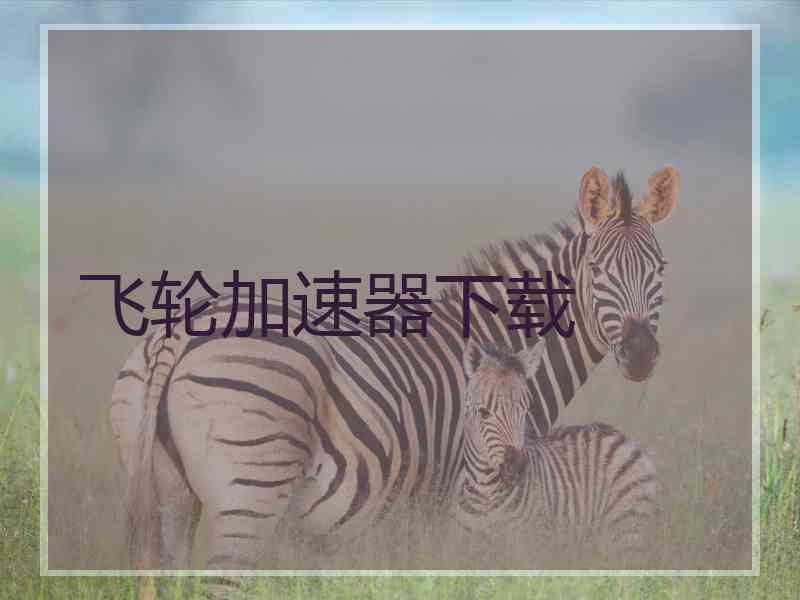 飞轮加速器下载