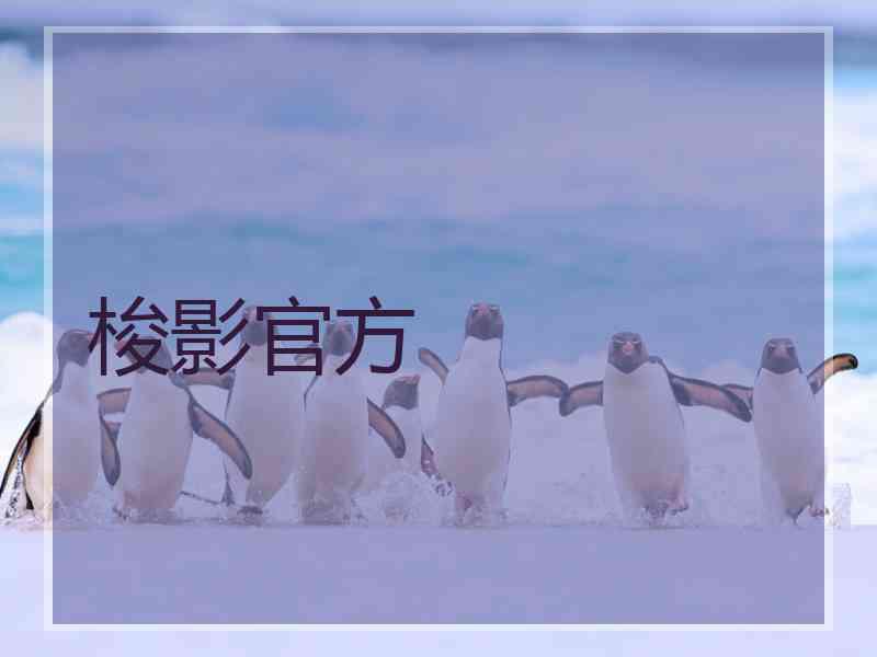 梭影官方