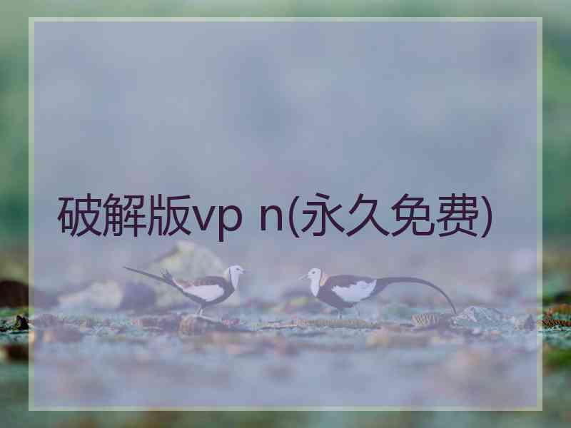 破解版vp n(永久免费)