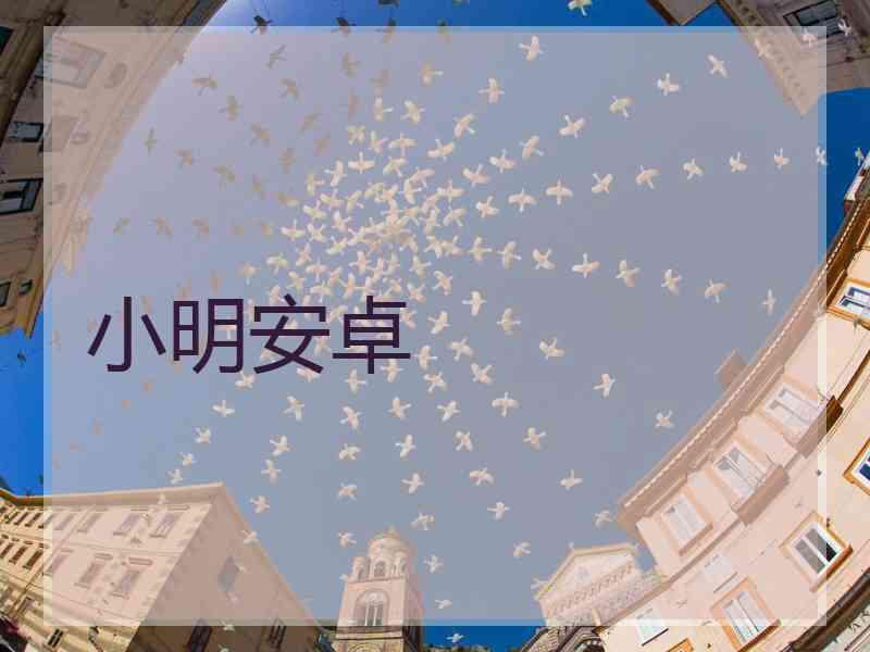 小明安卓