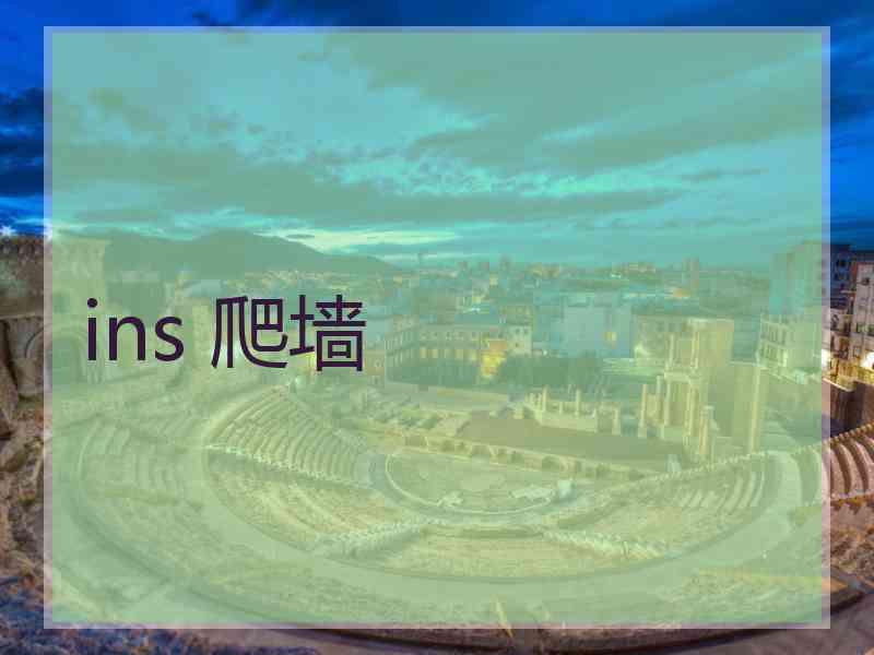 ins 爬墙