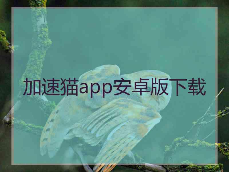 加速猫app安卓版下载