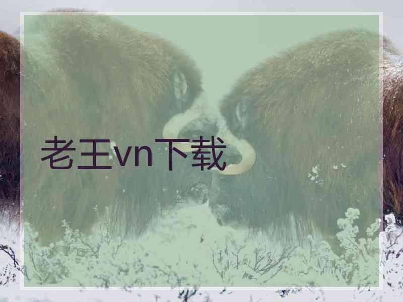 老王vn下载