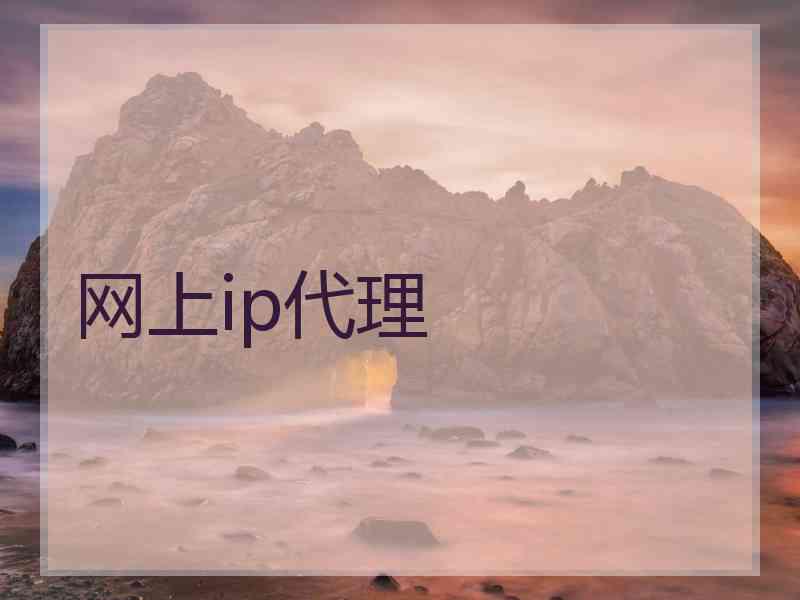 网上ip代理