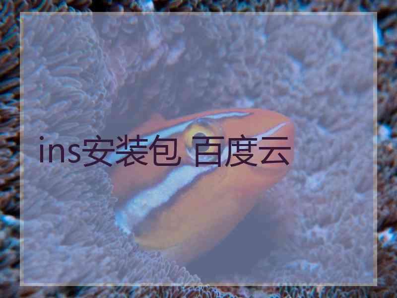 ins安装包 百度云