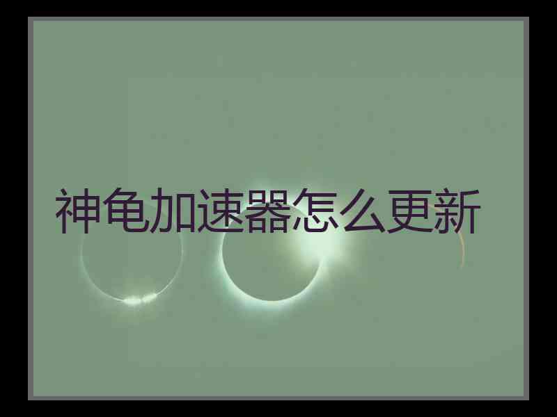 神龟加速器怎么更新