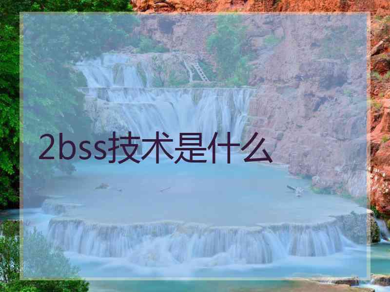 2bss技术是什么