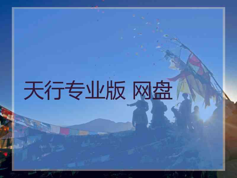 天行专业版 网盘