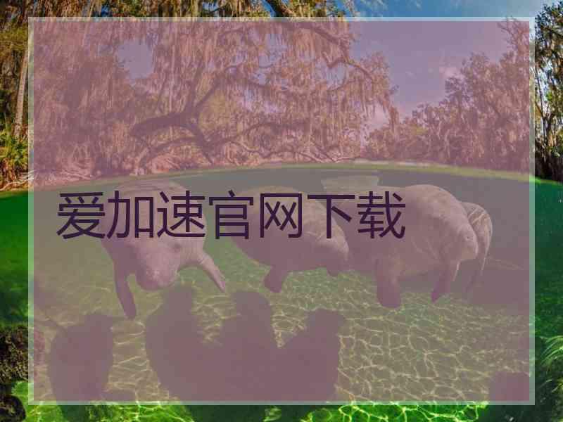 爱加速官网下载