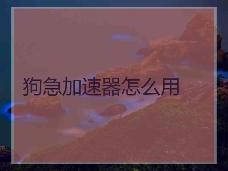 狗急加速器怎么用