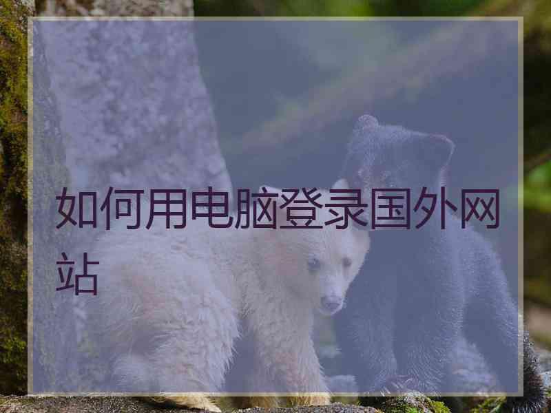 如何用电脑登录国外网站