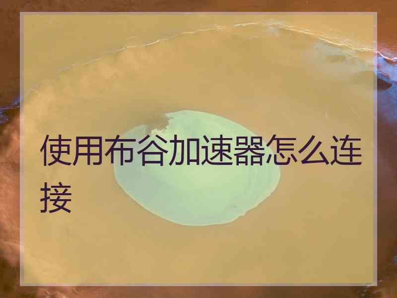 使用布谷加速器怎么连接