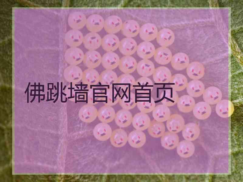 佛跳墙官网首页