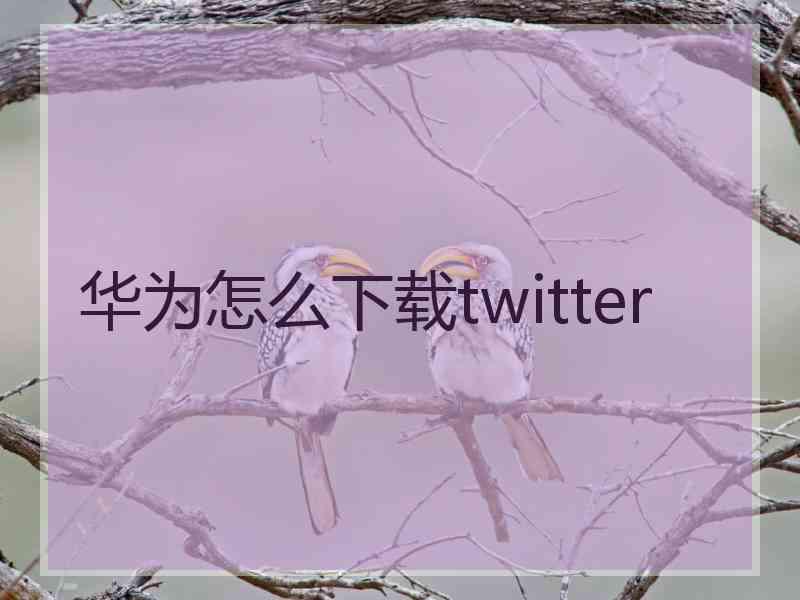 华为怎么下载twitter
