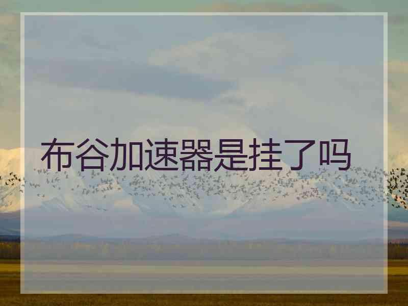 布谷加速器是挂了吗