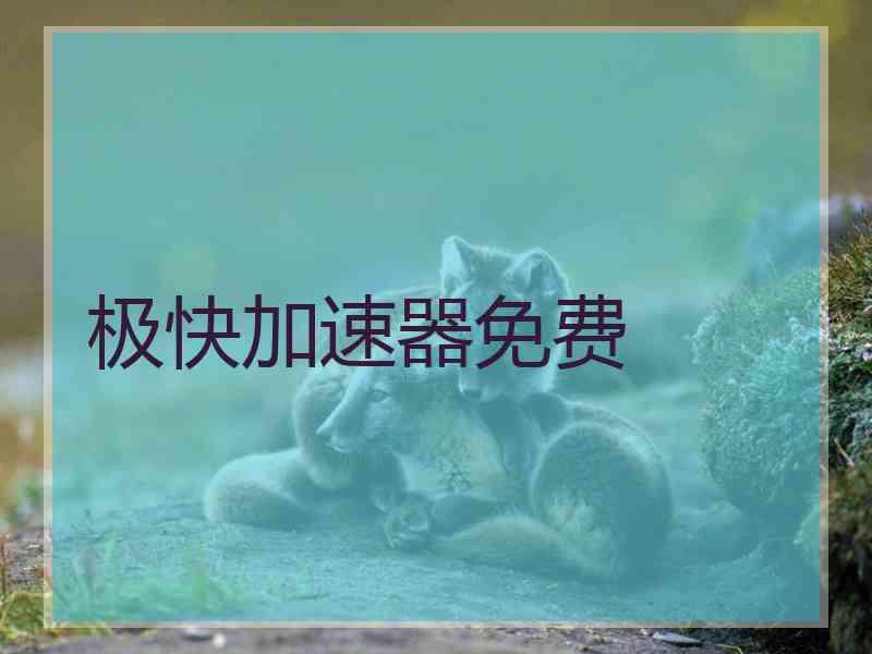 极快加速器免费