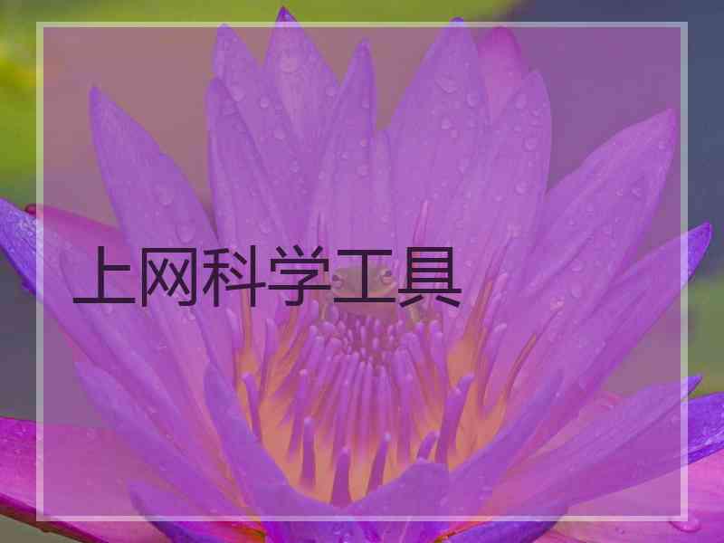 上网科学工具