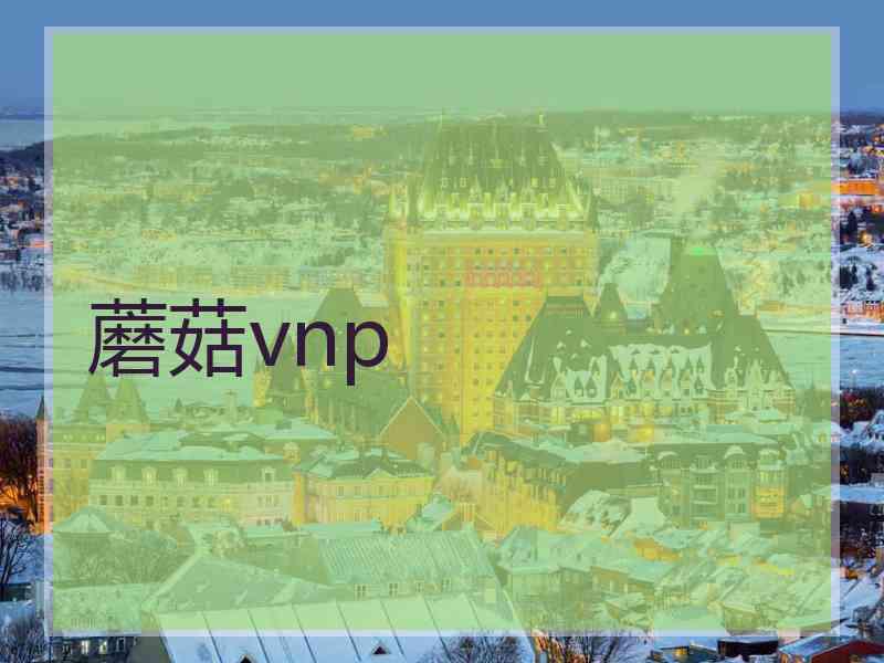 蘑菇vnp