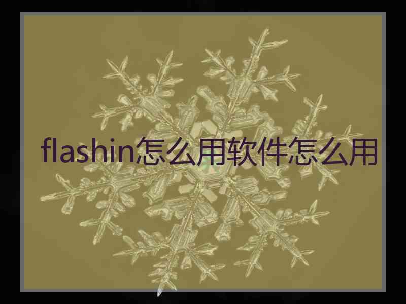 flashin怎么用软件怎么用